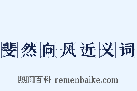 斐然向风近义词是什么意思的图片